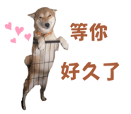 810020540