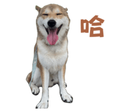 810020542
