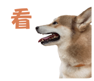 810020543