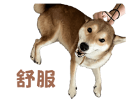 810020547