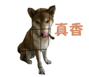 810020549