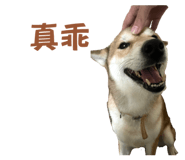810020550