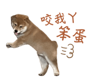 810020559