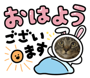 810022064