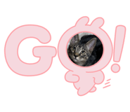 810022069