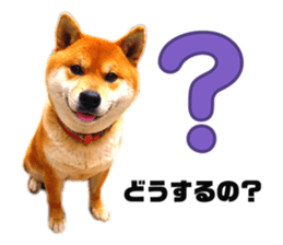 810023566