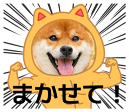 810023572