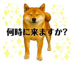 810023582