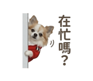 810026453