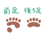 810029875