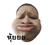 810032903