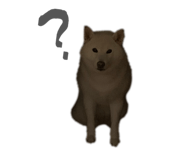 810046682