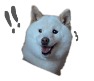 810046683