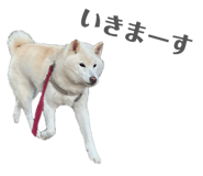 810046685