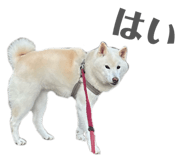 810046686