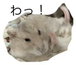 810048569