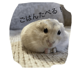 810048573