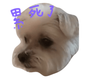 810049843