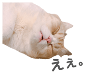 810073344