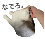 810073351