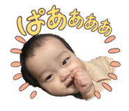 810086235