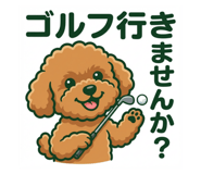 810089045