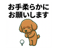 810089055