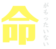 810089623