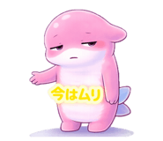 810097190