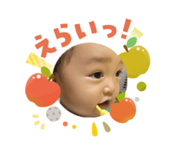 810098893