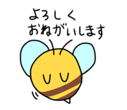810104857