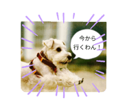 810106201