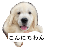 810114906
