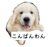 810114907