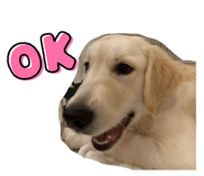 810114909