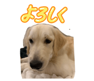 810114911