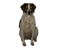 810119595
