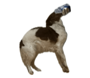 810119597