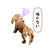810121726