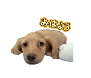 810121727