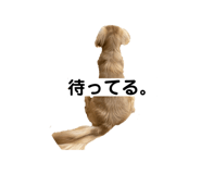 810121728