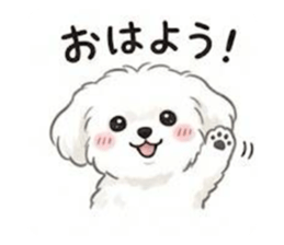 810122449