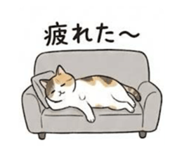 810122451