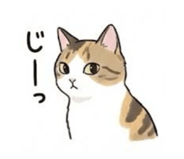 810122454