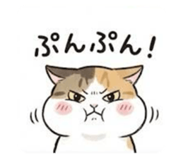 810122456