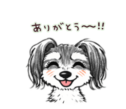 810135580