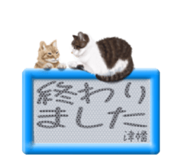 810147657