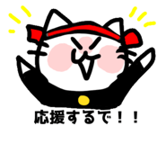 810151796