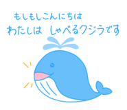 810154905