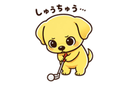 810157603